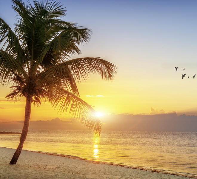 South Florida